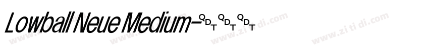 Lowball Neue Medium字体转换